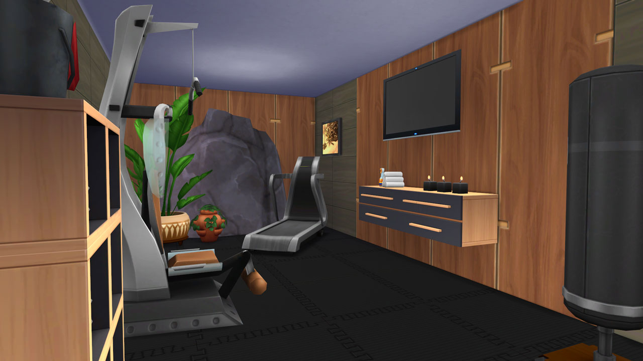 The Sims 4 Modern Midcentry House Gym